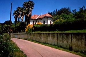 Villa bordée de hauts murs (Dr Auzimour) sur la route du ravin de la Vierge. Photo prise dans les années 60