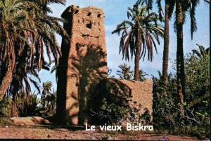 Le vieux Biskra Dans l'Oasis