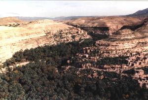 le canyon de Biskra et sa palmeraie