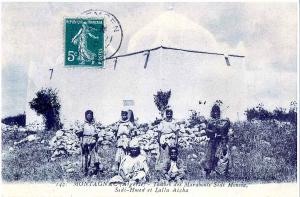 Montagnac, tombes des marabouts Sidi moussa, Sidi H'med et lalla aicha