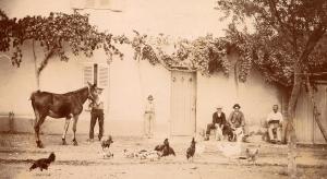 Lourmel, La ferme Chollet