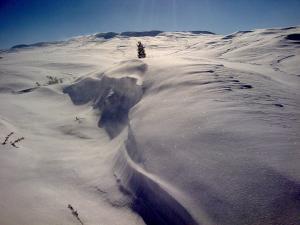l'hiver à sidi khelifa