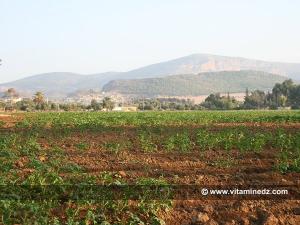 Ferme de Dolfus à Saf Saf