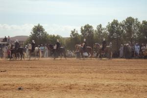 SOUGUEUR FANTASIA OULED SIDI BENYAGOUB