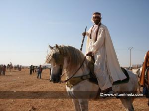 Cavalier à la waada d'El gor