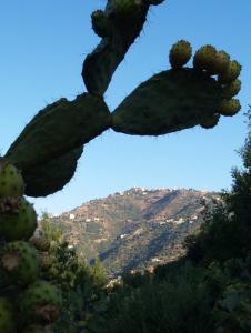 Le village du roi Koukou vu d'Ighil Igoulmimene,quelques mètres à vol d'oiseau