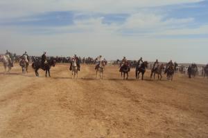 CAVALIERS  DE TIARET