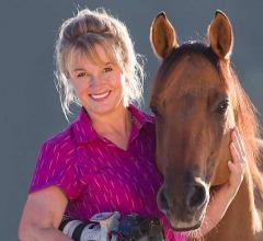 LE CHEVAL A L'HONNEUR  JUMENTERIE DE TIARET