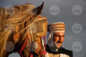 LE CHEVAL A L'HONNEUR  JUMENTERIE DE TIARET