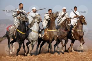 LE CHEVAL A L'HONNEUR  JUMENTERIE DE TIARET