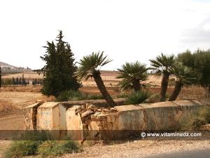 Un Wali, prés de Sidi Abdelli