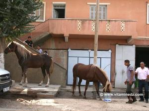 Sidi El Abdelli, un jour de waada