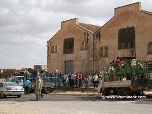 Les chevaux affluent de partout pour la waada de Sidi Abdelli