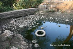Oued Saf Saf pollué