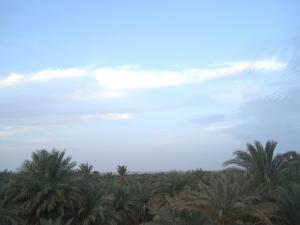 Adrar - Tamentit 02 :