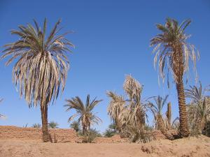 Adrar