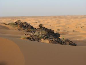 Solitude et apaisement