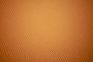 Desert texture
