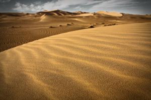 Sahara - erg occidental