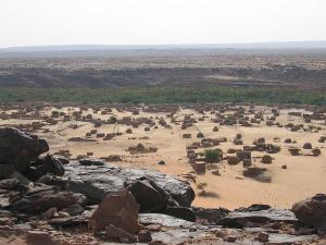 Du vert dans le désert