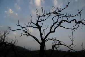 Algerie  Ville de Timimoun