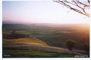 les hauteurs de Medjadja