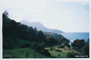 boucherale crocodile