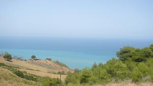 Beni Haoua, Chlef 4