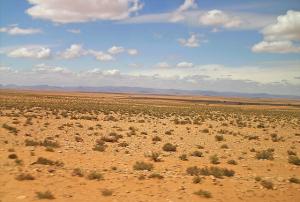 Desert de Laghouat