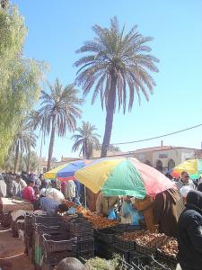 Marchands de Terfesse (Algerian Truffles) a Laghouat