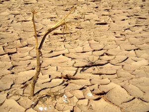 ???? ?? ????? ????? ????