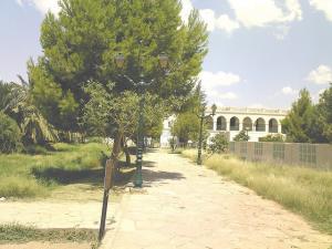 ain madhi...kourdane