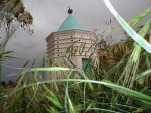 ain madhi...kourdane..