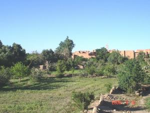 ain madhi. gardens and the ksar