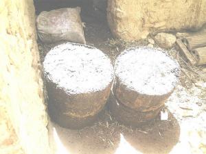 ain madhi. extraction d'huile d'olive.tradionnelement