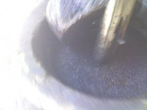 ain madhi. extraction d'huile d'olive.