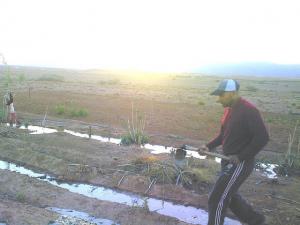 ain madhi.. aissa retoure aux sources