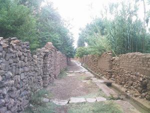 ain madhi..a trip among the gardens