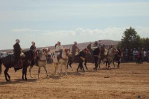 fantasia ,ta3 ouled sidi allal  sougueur