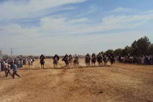 SOUGUEUR FANTASIA OULED SIDI BENYAGOUB