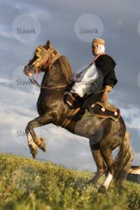 LE CHEVAL A L'HONNEUR  JUMENTERIE DE TIARET