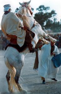 Dance de cheval