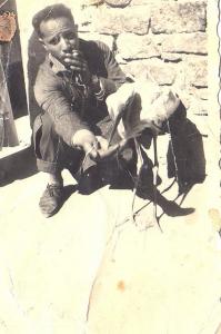 ain madhi. Bouameur Tahar