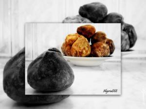 Truffles alg?riennes Terfess