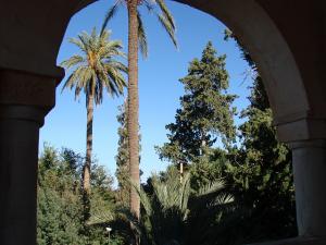 laghouat vue palmiers ? travers arcade