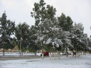 laghouat sous la neige en 2005