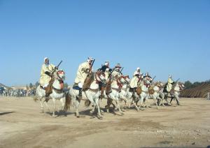 La fantasia à la fête du printemps à Laghouat.