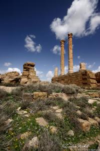 Timgad, les ruines du capitole (Algerie))