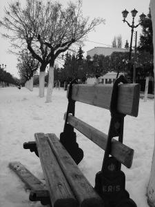 Banc publique tenace