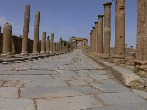 Vue sur Timgad